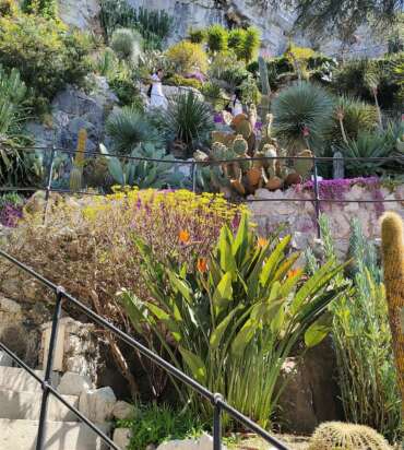 Monaco & Eze Private Tour from Nice | Half Day