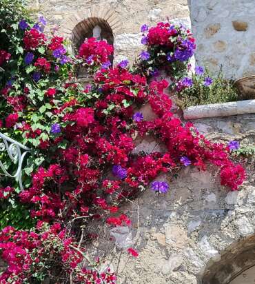 Cannes, Antibes & Saint-Paul-de-Vence (Full Day)